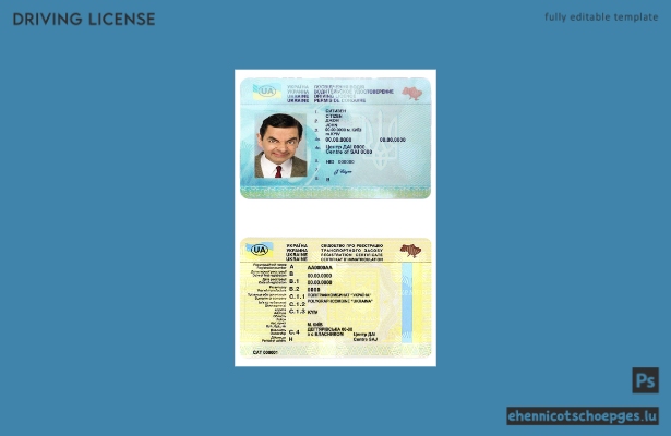 Beispiel für einen ukrainischen Führerschein